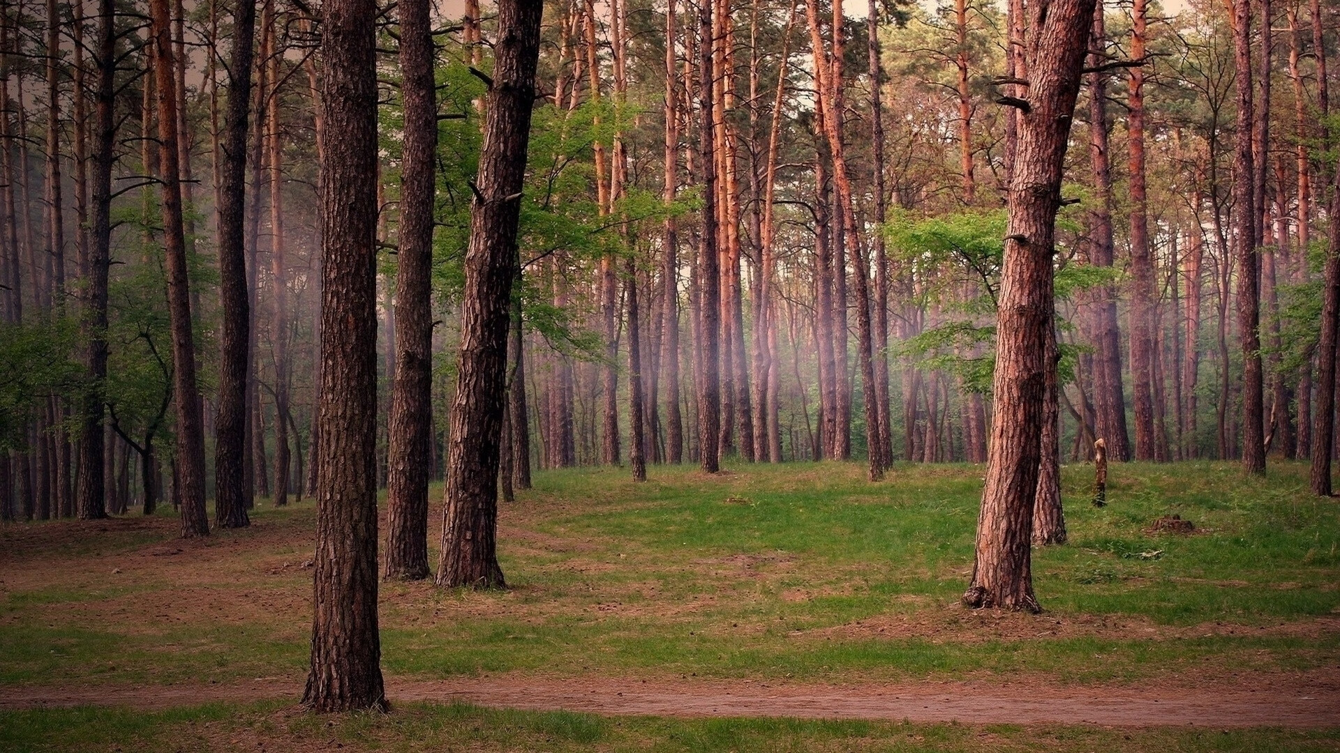 某队遭遇惨败，球员面临巨大压力，某队员全场各种犯规累计达五次以后