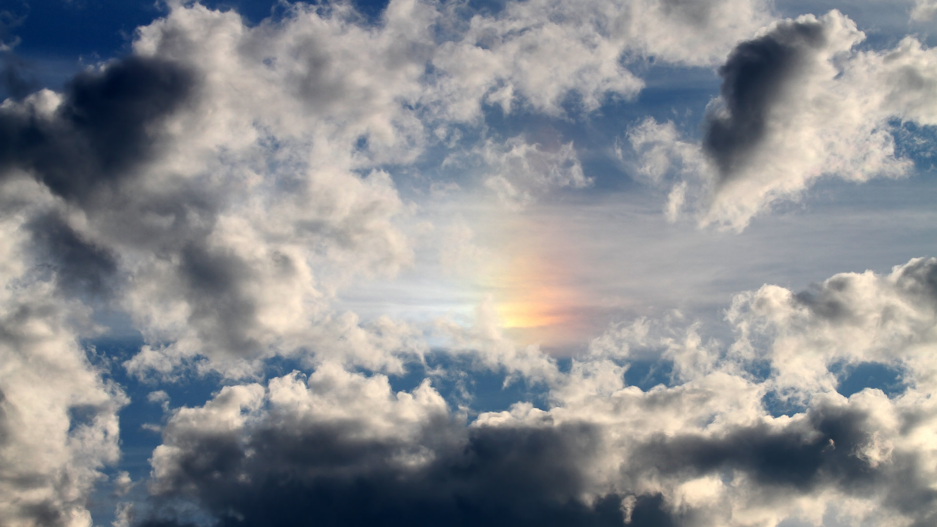 跳水动作精准韩国稳步晋级，韩国跳水队员名单