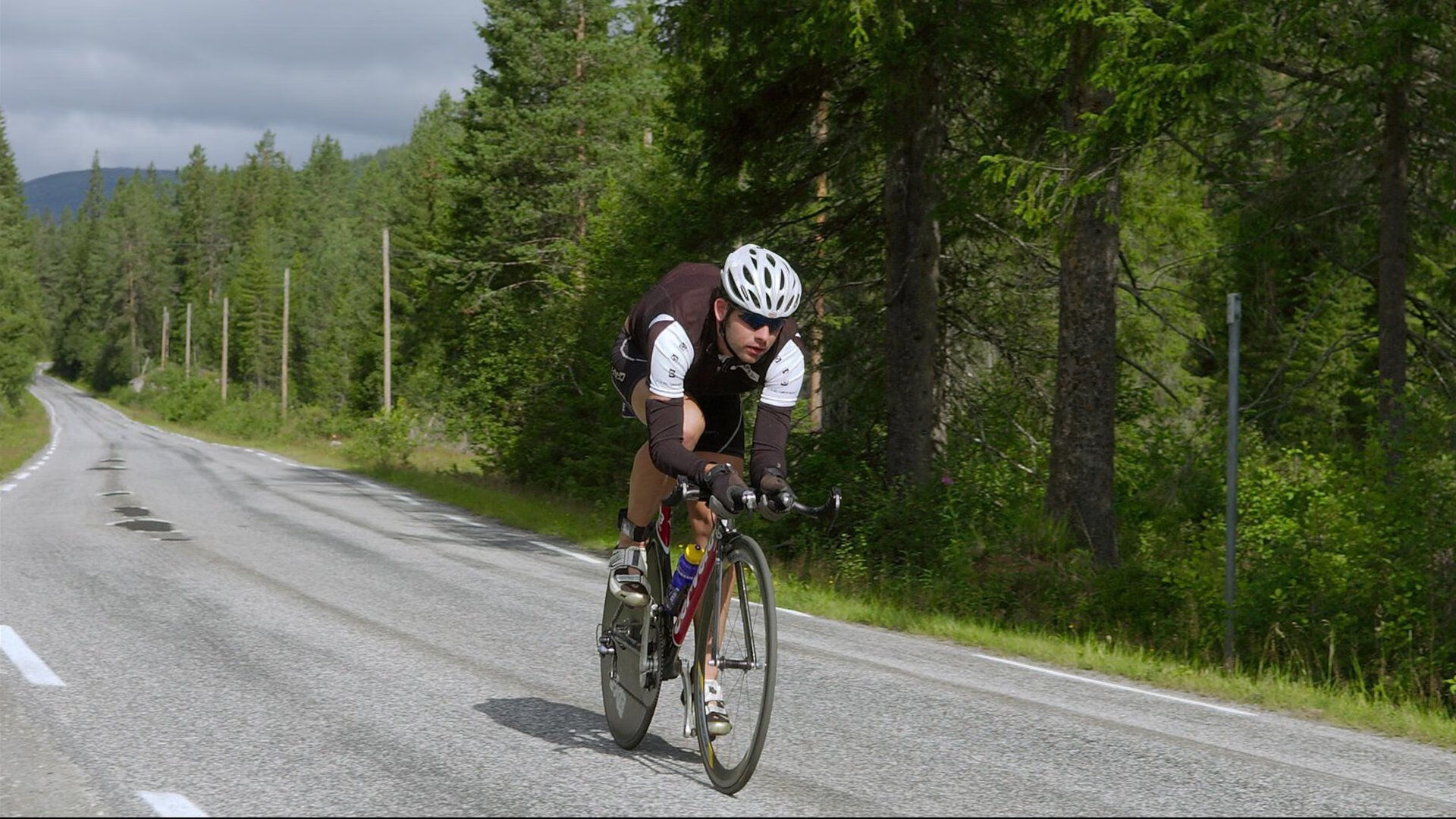 _环天跑：在天空中迎风奔跑_，什么时候给树木施肥